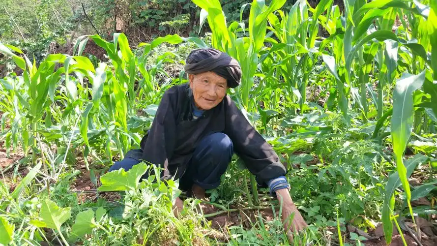 慈祥的赤脚老人