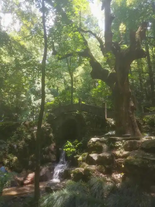 双龙洞景区在哪个地方  双龙洞,位于浙江省金华市婺城区罗店镇金华