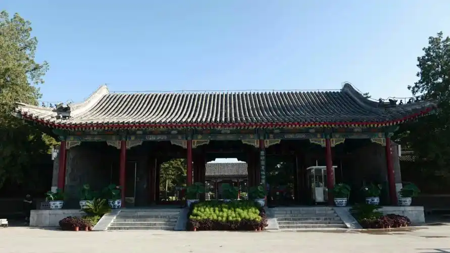 圆明园荷花与苇莺