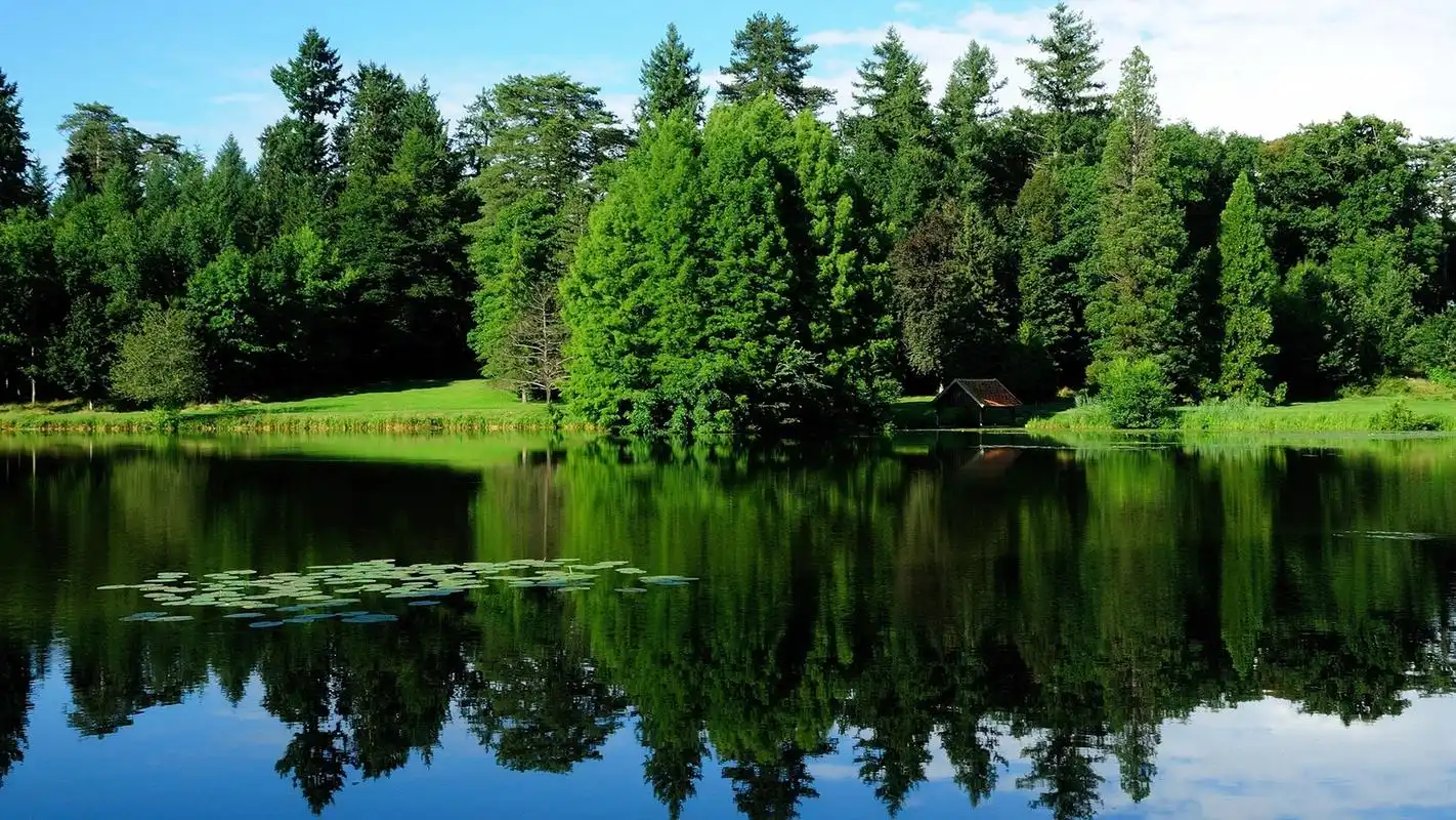 清新绿色风景护眼桌面壁纸高清下载