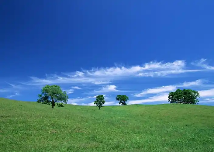 旅游,放松心情,用眼睛享受风景