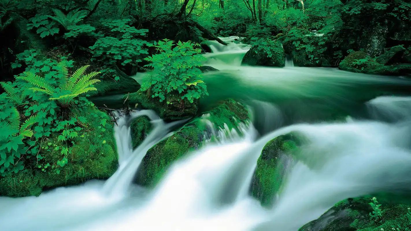 高清迷人的自然风景图片桌面壁纸