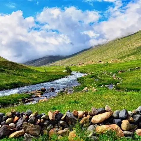 绿色春季自然风景 清新自然的头像图片