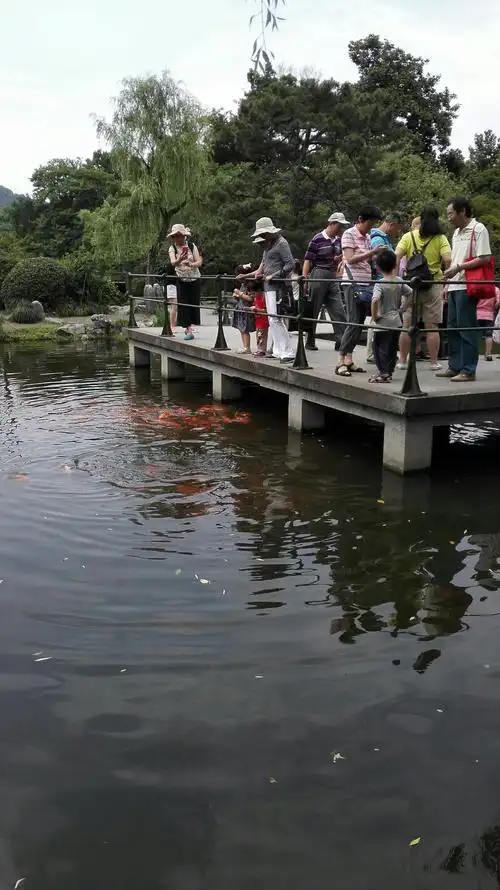 西湖十景～花港观鱼
