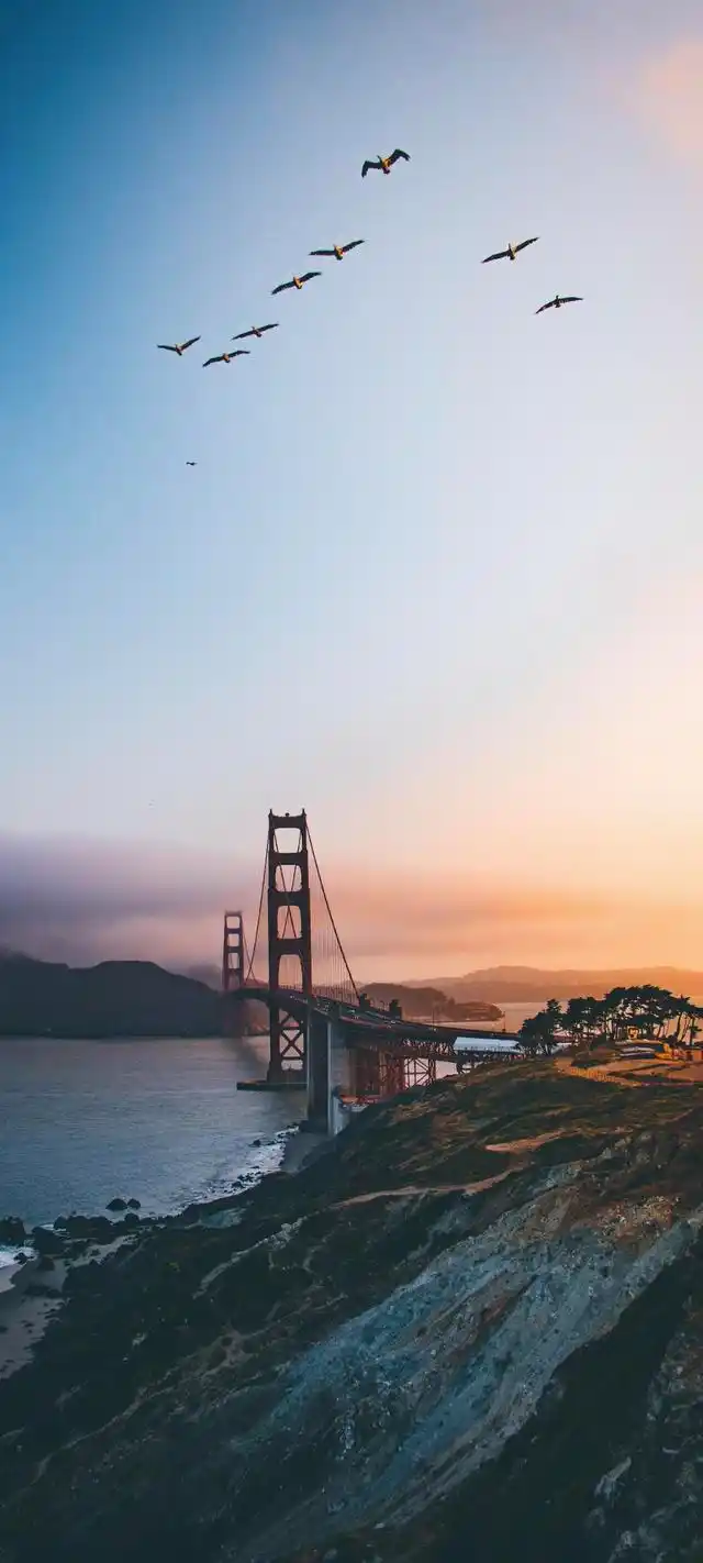 040-1高清手机壁纸