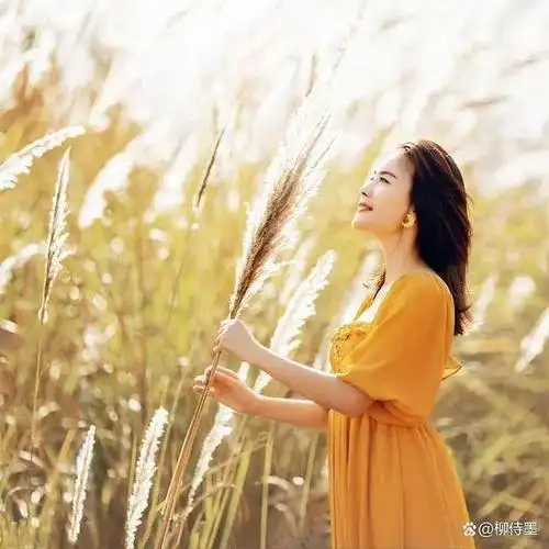 风景人像摄影口诀,简约大方的拍照姿势,衬托你的优雅气质