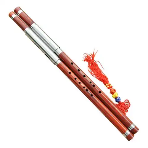 双管乐器横吹巴乌专业红木木巴学生巴乌