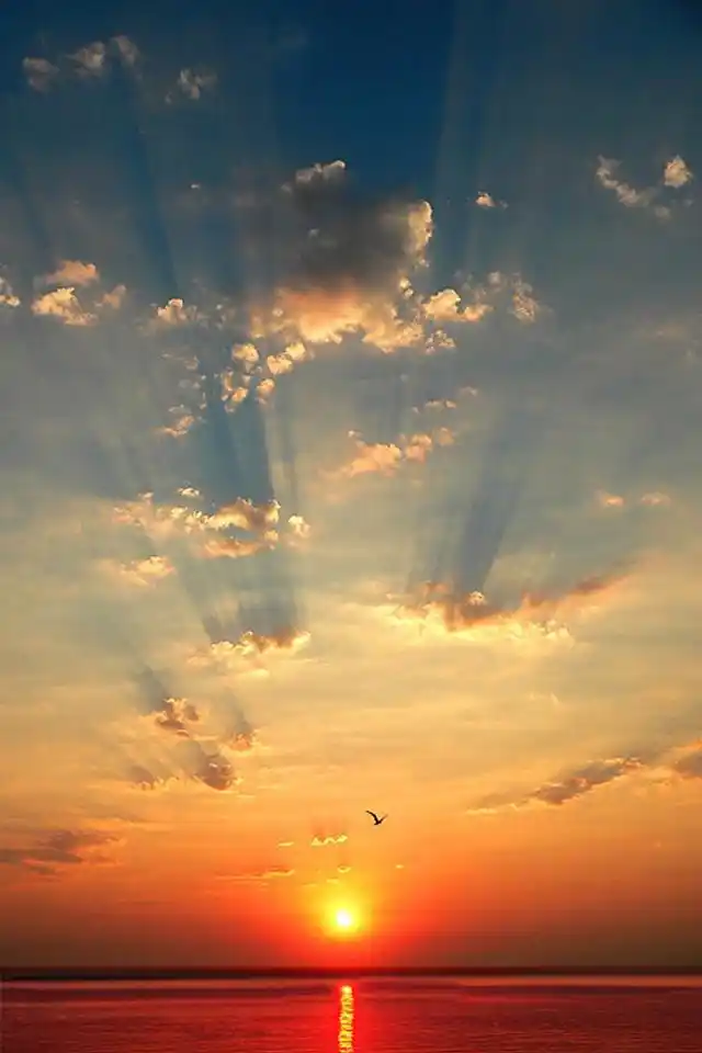 唯美 > 唯美意境图片黄昏美景iphone苹果手机壁纸 640_960竖版 竖屏