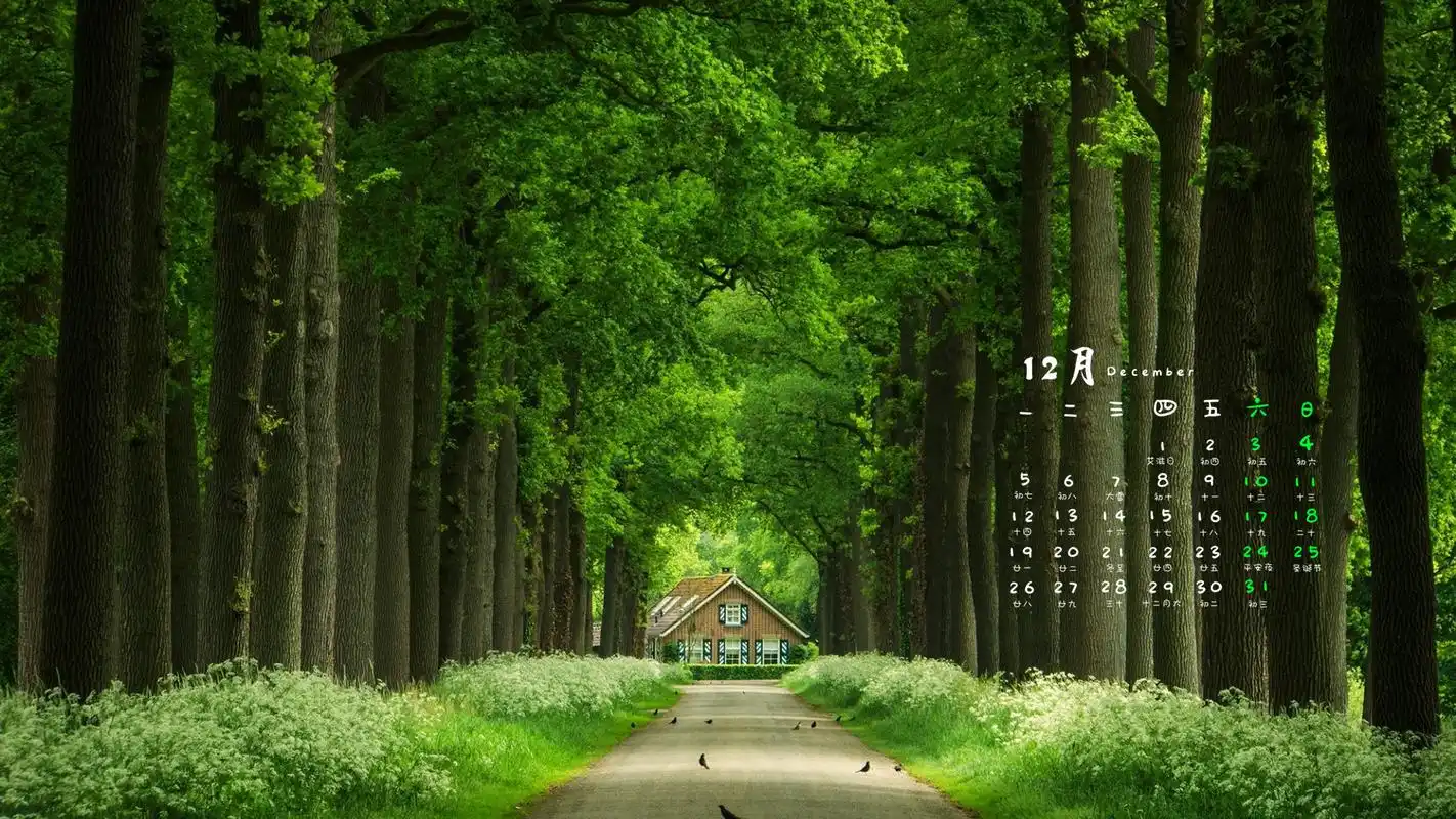 2016年12月日历小清新绿色护眼风景壁纸图片