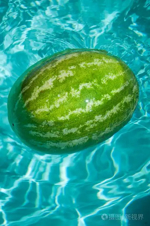 绿色西瓜照片-正版商用图片0aer7l-摄图新视界