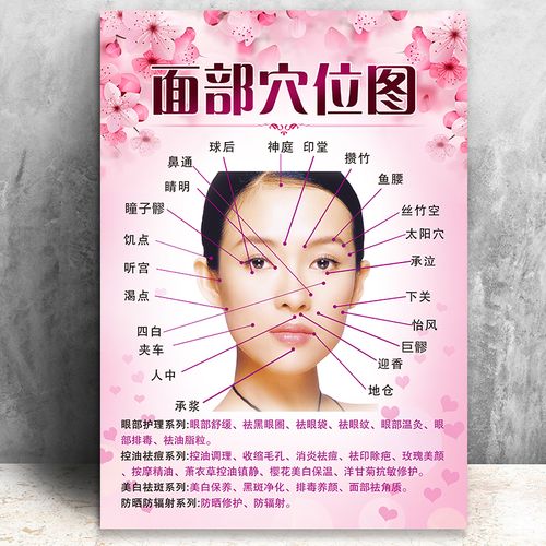 面部穴位图面部护理海报图片脸部背诊图美容面部经络穴位图面诊图