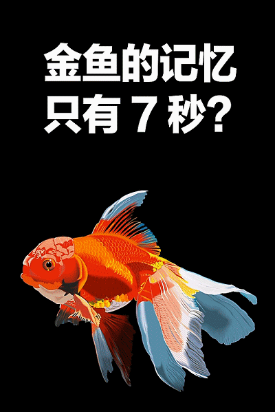 400_599竖版 竖屏gif 动态图 动图