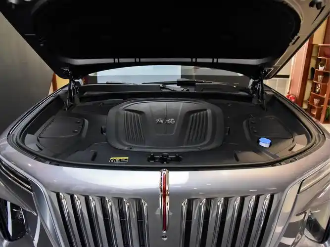 豪华家族6座旗舰suv,动力堪比v8却不用油,实拍红旗e-hs9