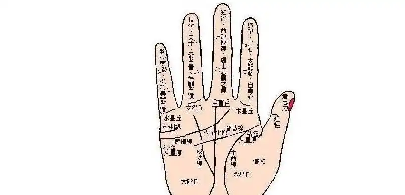男人假断掌的手相图解大全