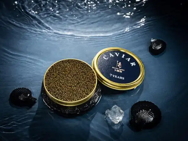 鲟龙科技邀您探索中国鱼子酱的美味秘诀_tom资讯