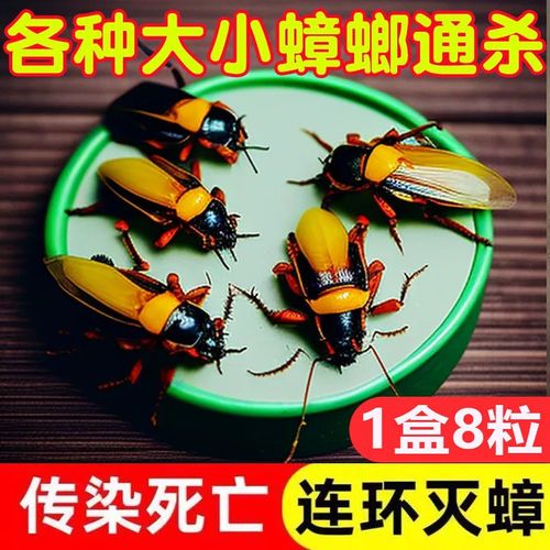 蟑螂药强效出租屋家用宠物孕妇婴儿无毒一窝端厨房蟑螂克星方便贴