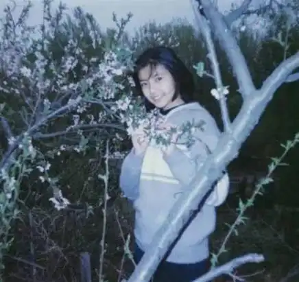 那时候,一封接着一封的情书,跑进高圆圆的课桌里.