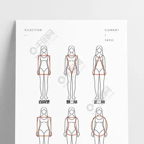 人物体型线稿身材比例图