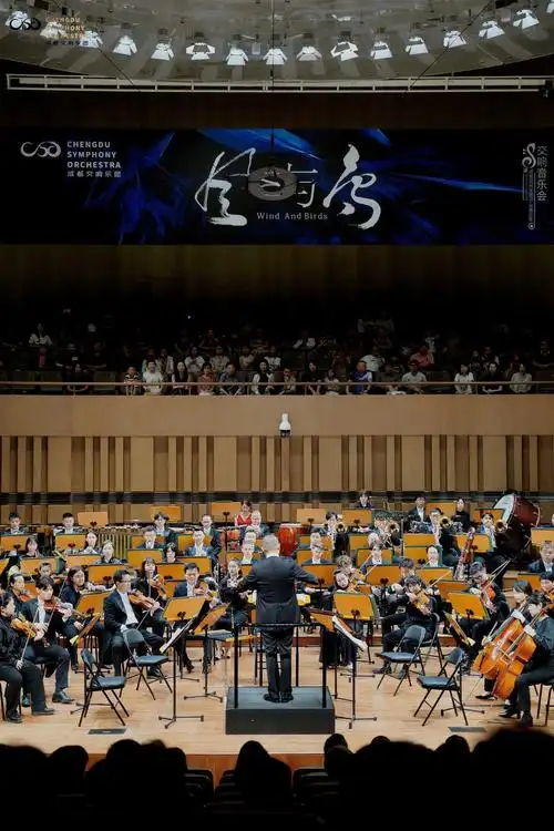 谭盾执棒"风与鸟"音乐会 奏响经典与创意之声