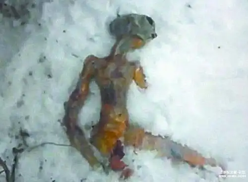 高空发现神秘人影(组图)开扒全球神秘"外星人"事件(2)