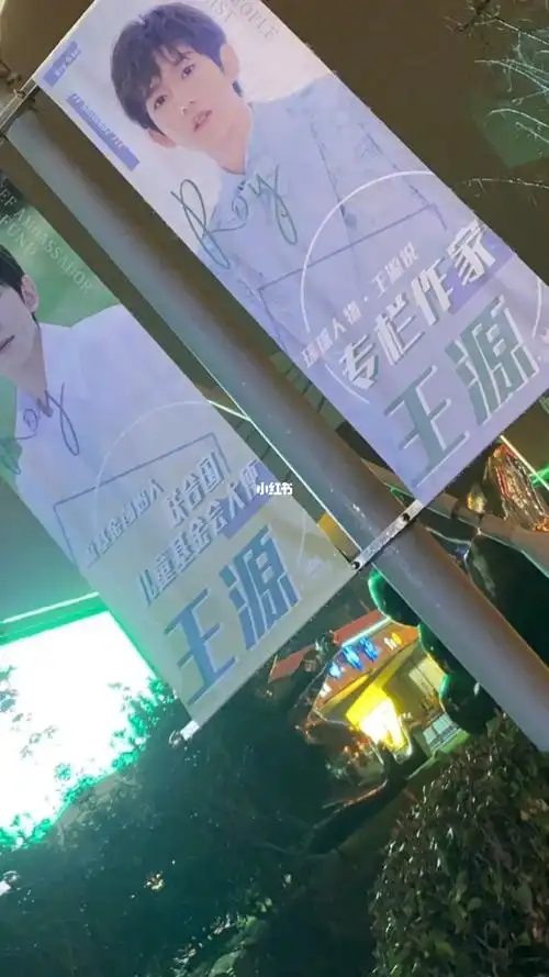 王源应援这么强大