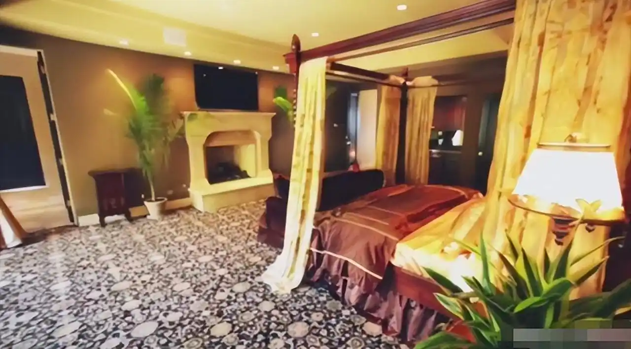 参观董卿在美国的豪宅,因太会布置而走红,拍照你们瞧瞧,真羡慕