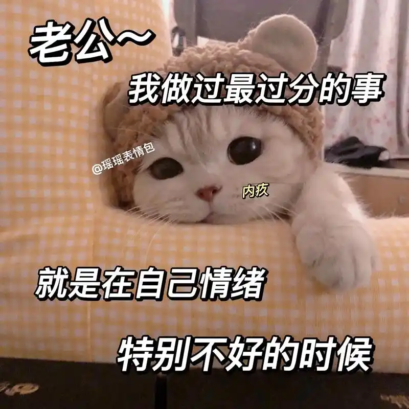 是不是想对你老公说的话～#表情包 #猫咪表情包 #图片表情包 - 抖音