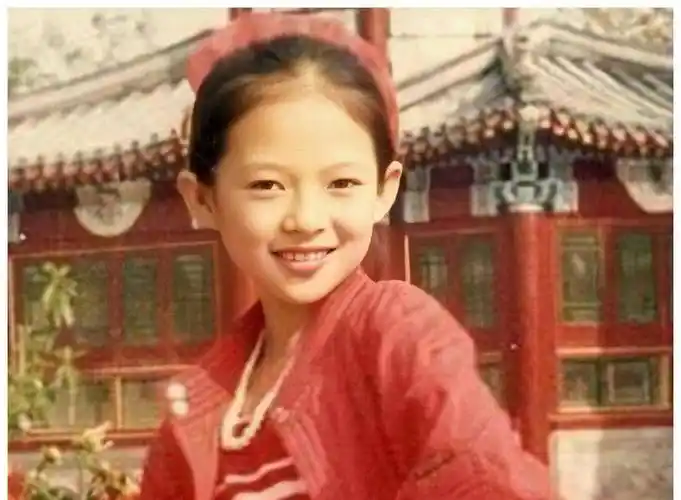 章子怡:两个富裕的家庭不进去,嫁给了王峰,被嘲笑了8年…_霍启山_汪峰