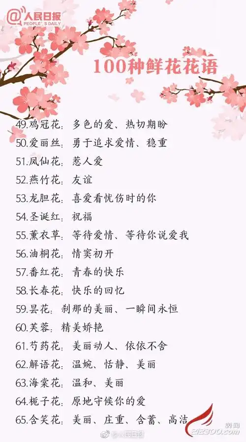 100种鲜花的花语,送花就用它!