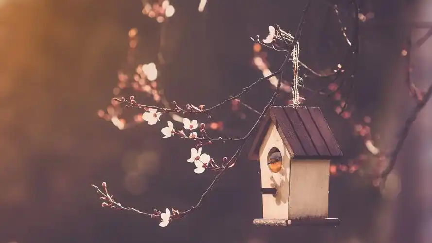 唯美咖啡杯电脑壁纸图片下载高清大图预览2560x1440_高清壁纸下载_美