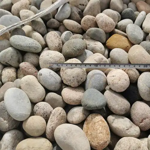 树池鹅卵石批发 3到5公分天然鹅卵石加工厂
