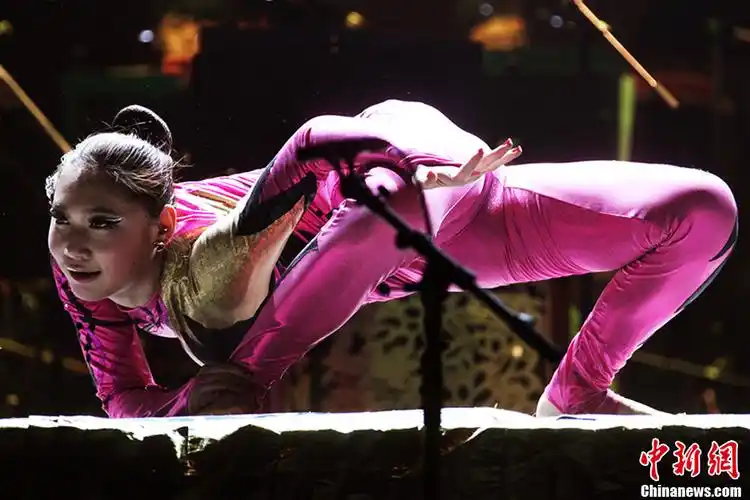 "五洲同春"加拿大巡演拉开帷幕