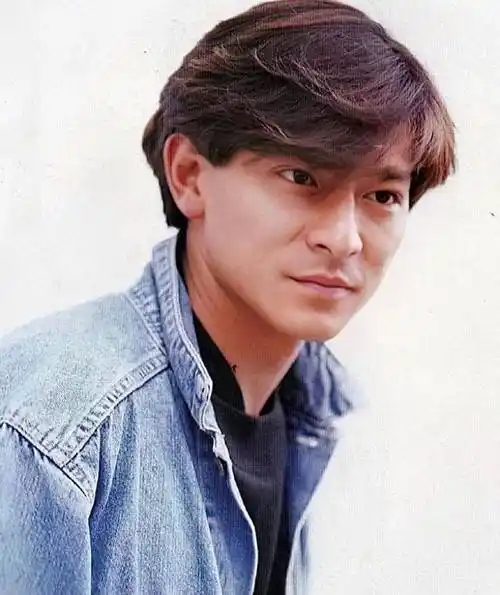 刘德华:北京一夜,江湖地位"飙升",人情冷暖尽显_王晶_