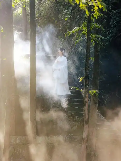 有阳光的时候太仙了绝情谷底的希望