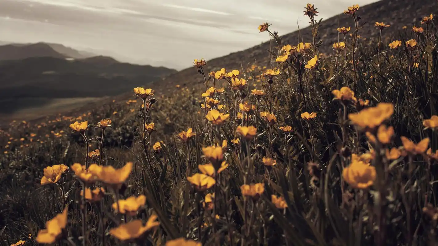 唯美风景精选图片高清壁纸