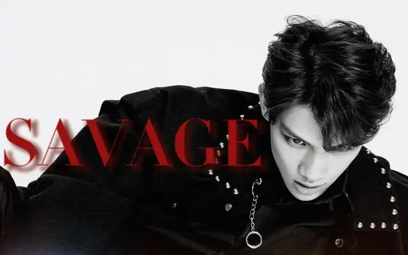 野性美貌极致舔颜向段星星savage内娱独一份这就是超级大金瓜的脸吗