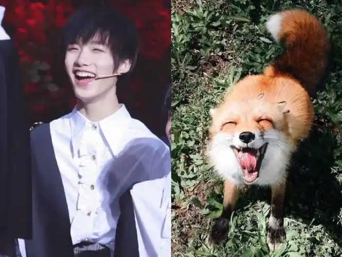 丁程鑫的本体是一只爱笑的小狐狸@时代少年团-丁程鑫