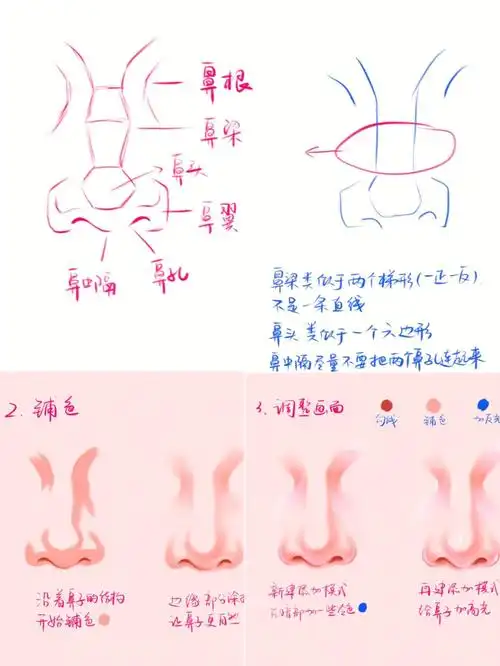 procreate  #鼻子#鼻子的画法  #画画教程#我是原创插画师