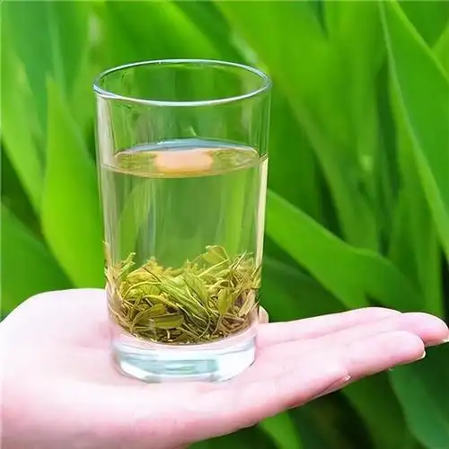 绿茶冲泡大忌是先放茶叶再放水吗一杯好喝的绿茶要怎么冲泡