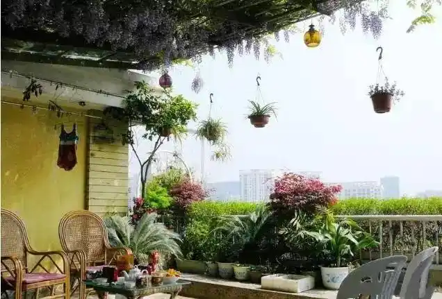 她在楼顶搭一座小花园,这就是我梦想中的生活啊!