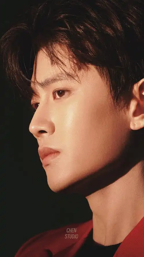 桃花姬食品品牌代言人任嘉伦##任嘉伦米兰时装周