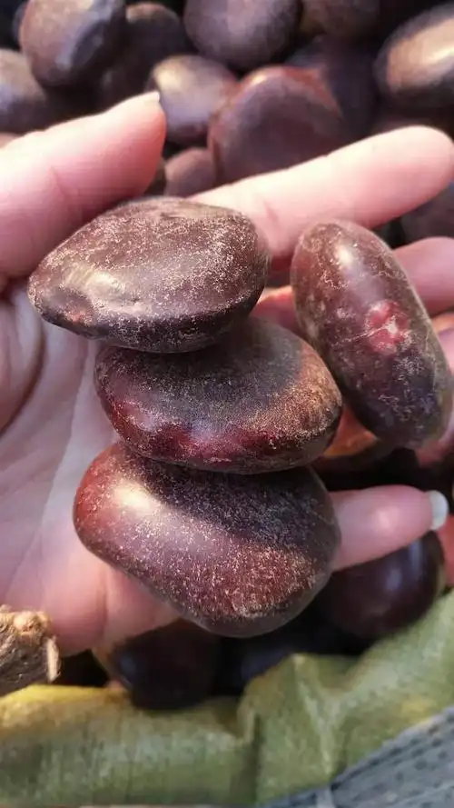 中药材批发阴阳子 阴阳子的价格