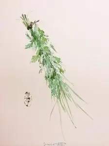 你家有挂菖蒲艾叶的习惯么? [/cp]