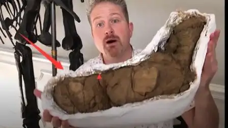 真的有人喜欢收藏大便获得吉尼斯世界纪录