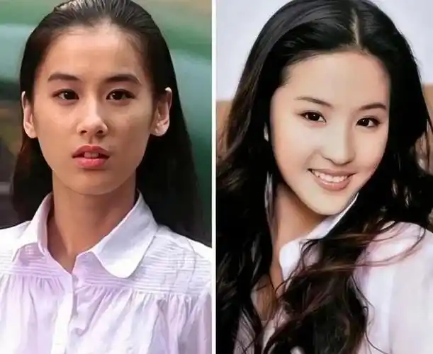 刘亦菲和黄圣依坐一起合影平分秋色站一起合影黄圣依被秒杀了