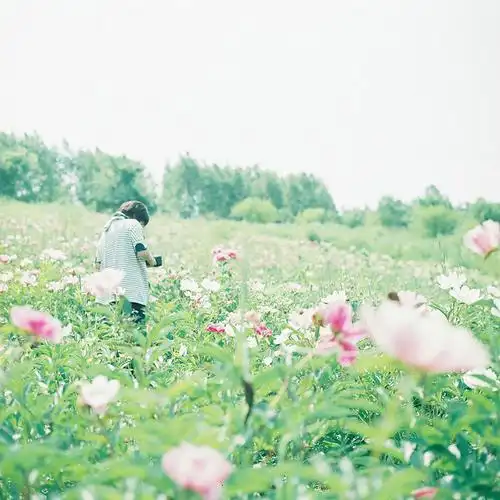 小清新唯美森系日系清新图片
