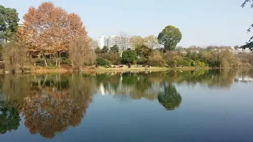 小岛湿地公园随拍