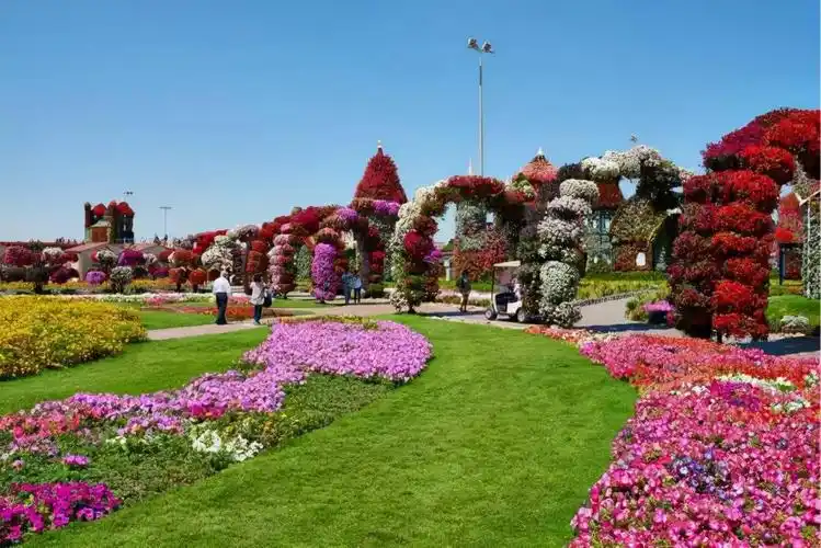 奇迹花园是迪拜最大的户外休闲度假胜地,也被称为世界上最美的花园