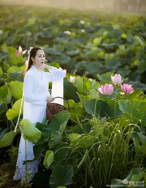 做个如莲的女人,像梦,又像希望.在浑浊的世间,尚能与世无争,也是好的.