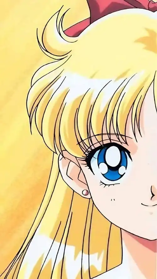 美少女战士 壁纸